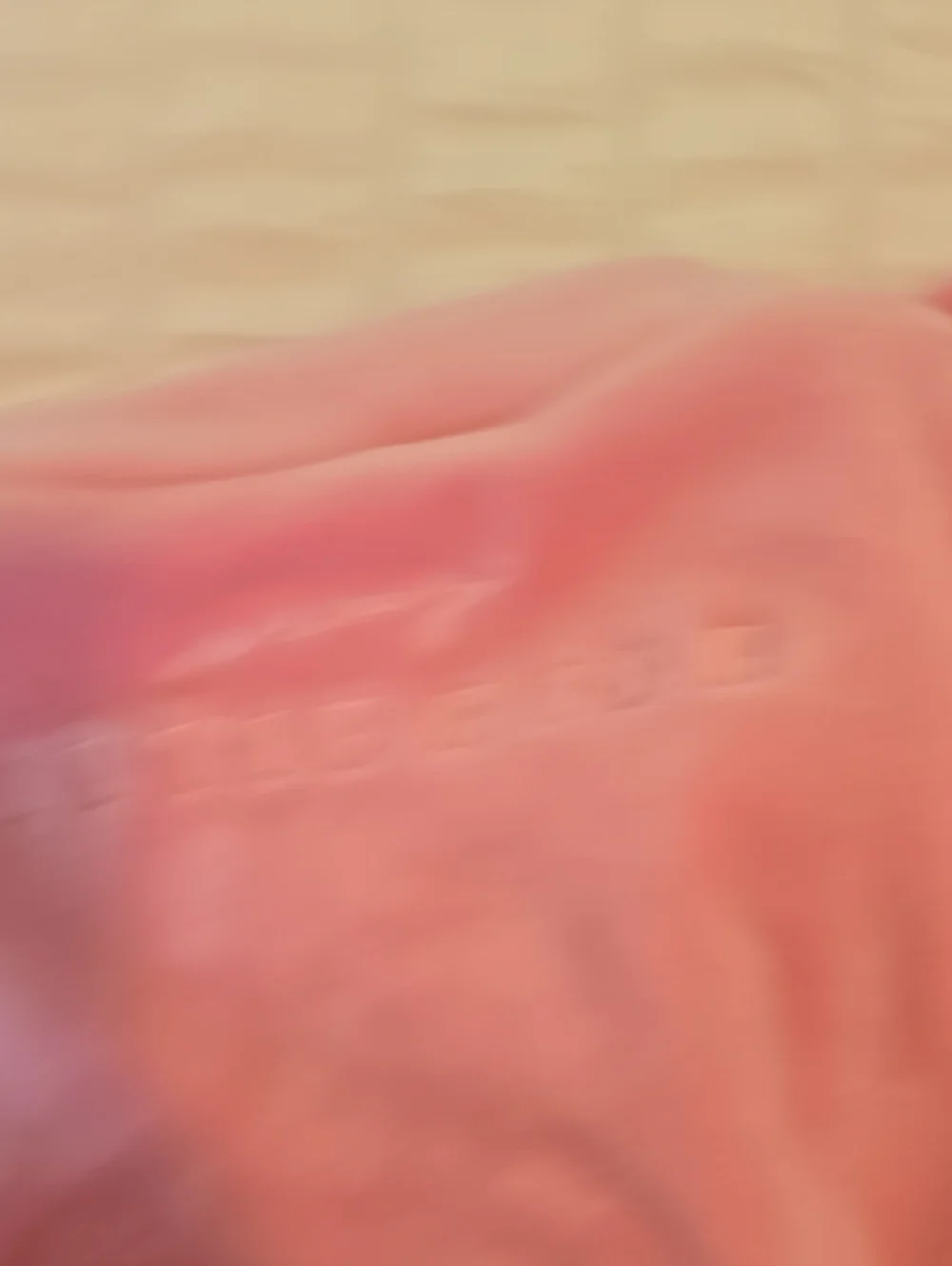 Light Pink Velour Wrap Robe with Embroidered Logo Sexy Little Robe. - Picture 4 of 4